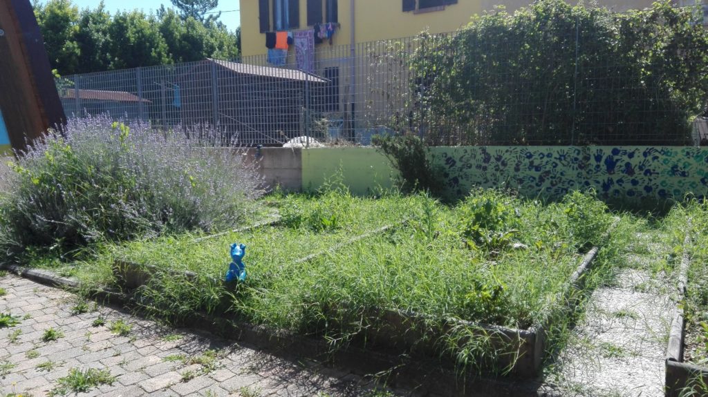 Creazione e allestimento di un’aula verde